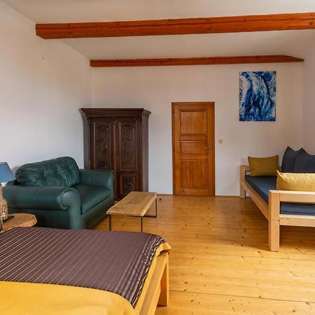 Apartment Sirius F In Center Of Cb チェスケー・ブジェヨヴィツェ エクステリア 写真